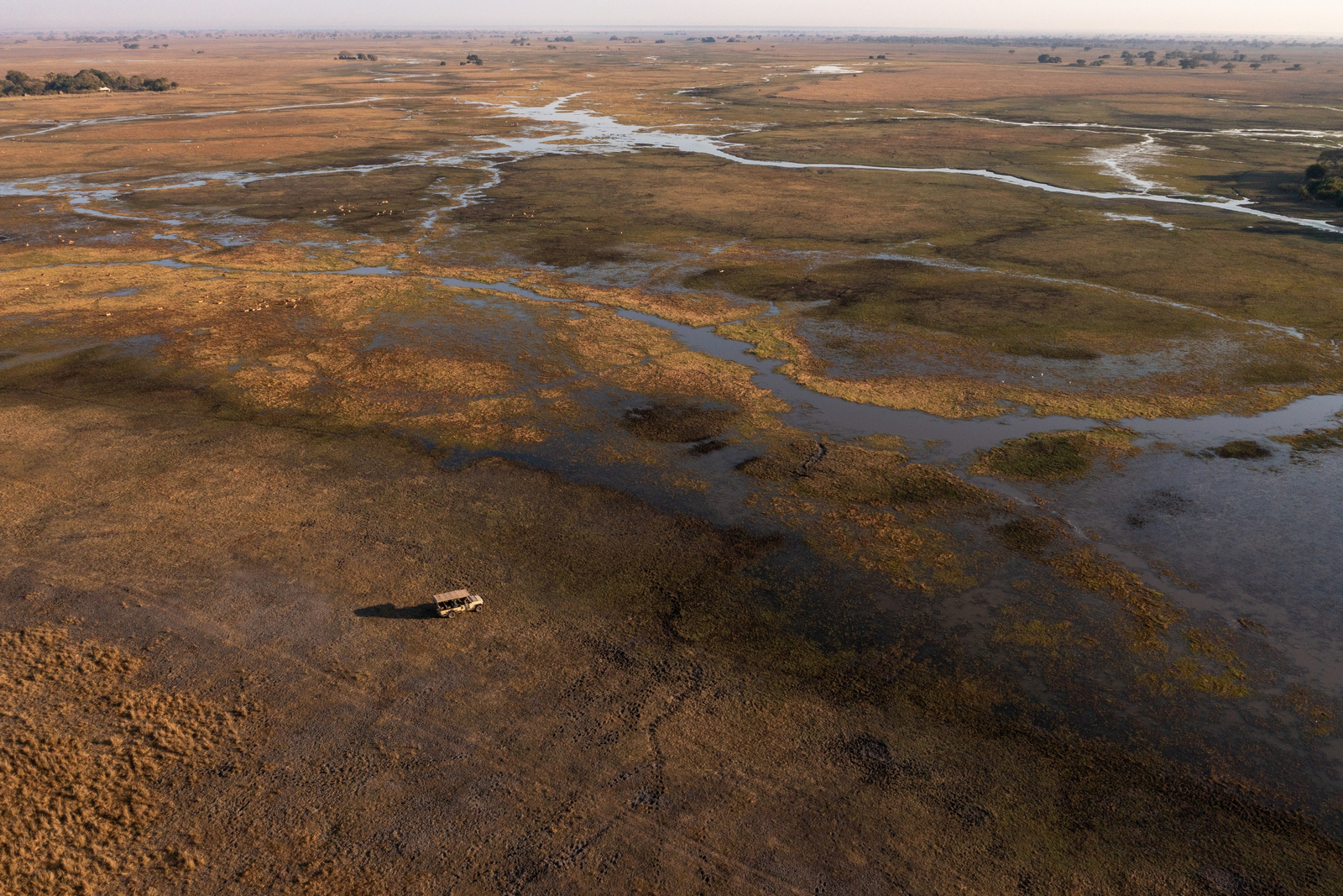 Chisa Busanga Camp Chisa Busanga Camp: Luftbild der Sümpfe