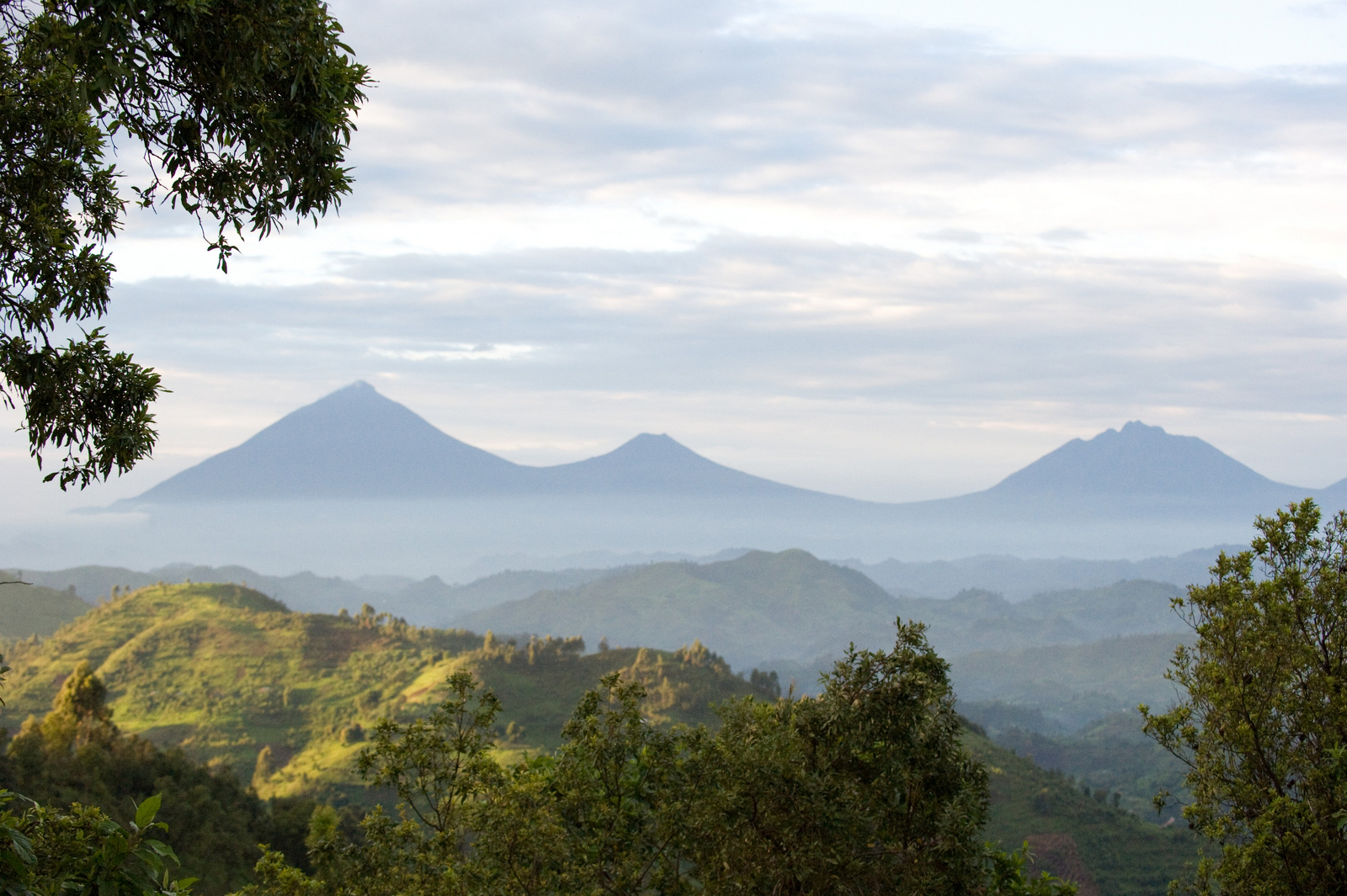 Clouds Mountain Gorilla Lodge Clouds Mountain Gorilla Lodge