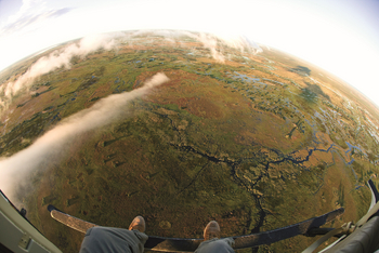 Duba Explorers Camp: Flug über die Duba Plains