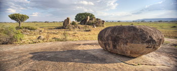 Dunia Camp: Kleine Kopjes