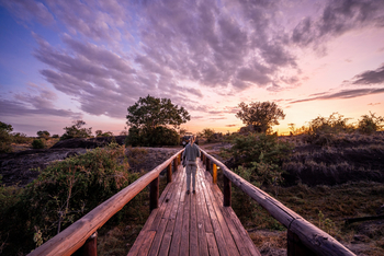 Elewana Serengeti Migration Camp: Weg