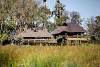 Gunn's Camp: Schilf vor dem Zentralbereich