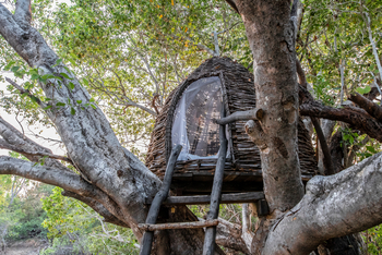 KaingU Safari Lodge: Tonga Tree Basket