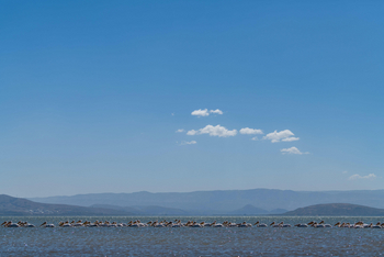 Loldia House: Auf Crescent Island