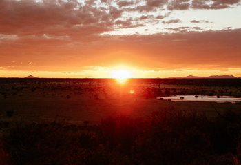 Old Traders Lodge: Landschaft