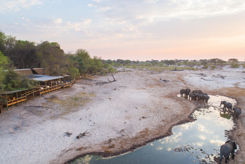 Savute Safari Lodge: Sandfläche vor der Lodge