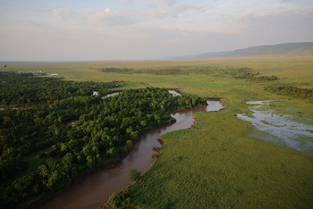 Serengeti Mara River Camp: Gefluteter Mara River