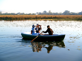 Shahpura Bagh: Vogelbeobachtung auf dem See