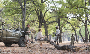 Shenton Safaris: Game Drives
