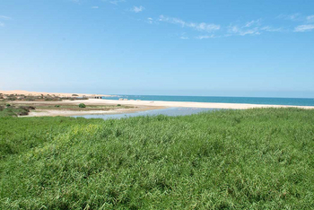 The Stiltz: Swakop River Estuary