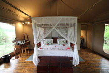 Tlouwana Camp Tlouwana Camp: Bett