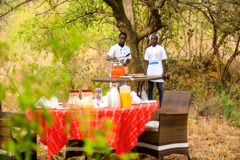Adere Safari Lodge: Küche