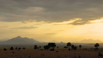 Apoka Safari Lodge: Abend über weitem Land