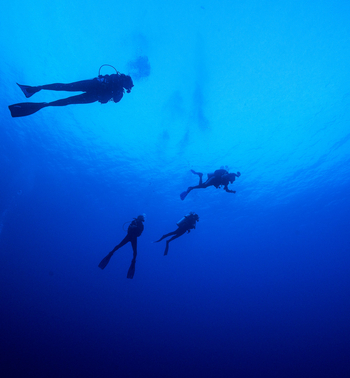 Astove Coral House: Tauchgang ins Tiefe