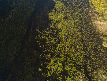 Boteti Tented Safari Lodge: Mokoro Luftbild
