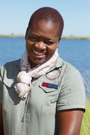 Chobe Game Lodge: Bee