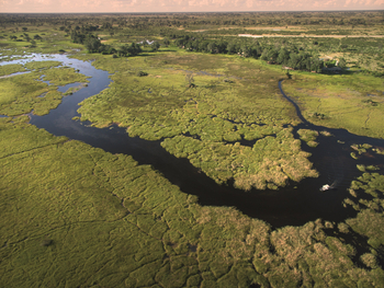 Duba Plains Camp: Luftbild