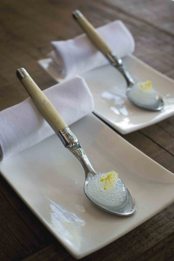 Duba Plains Camp: Sorbet