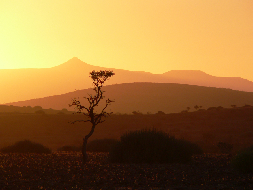 Etendeka Mountain Camp