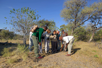 Gunn's Camp: Spurenlesen