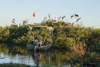 Kanana Camp: Vogelkolonie - Annäherung im Boot
