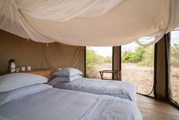 Kuthengo Camp: Familieneinheit