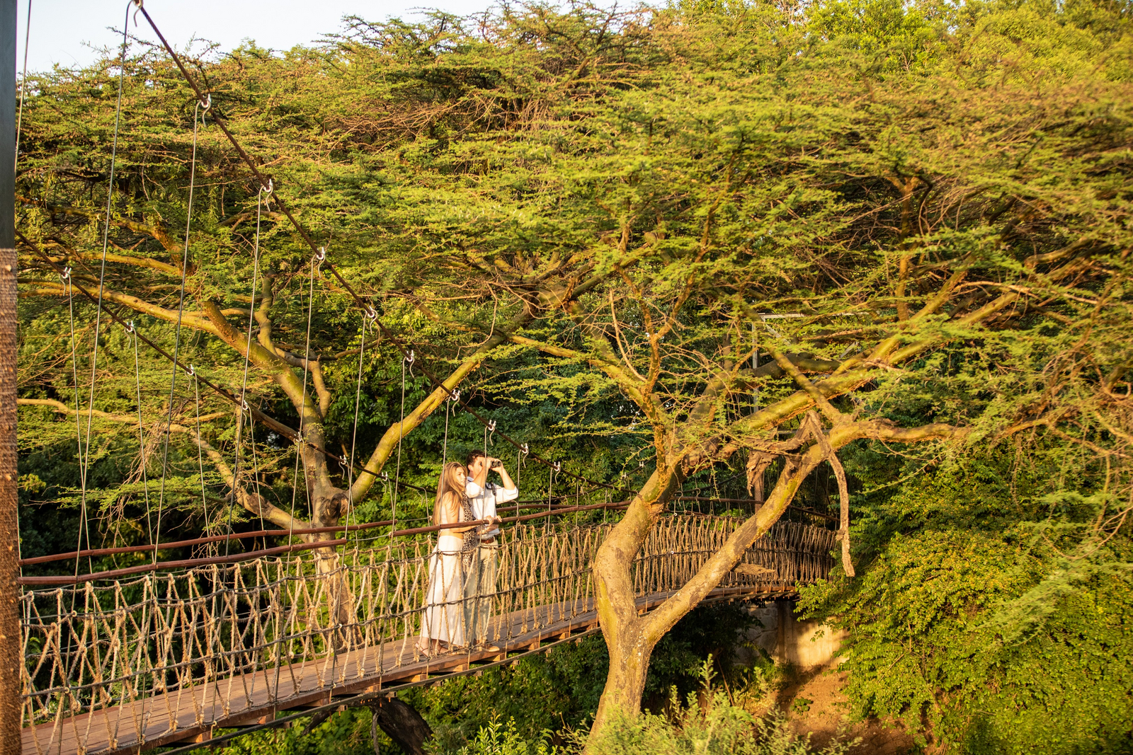 Mara Plains Camp Mara Plains Camp: Gäste auf der Hängebrücke