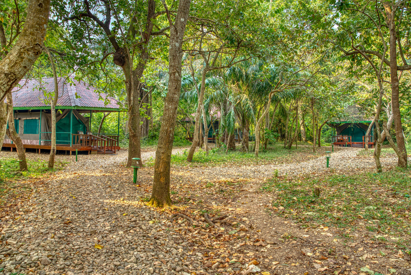 Mbali Mbali Gombe Lodge Mbali Mbali Gombe Lodge: Zelte unter Bäumen