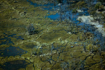 Mogogelo Camp Mogogelo Camp: Deltalandschaft