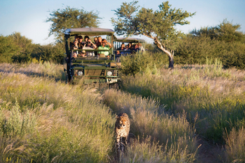 Old Traders Lodge: Aktivitäten