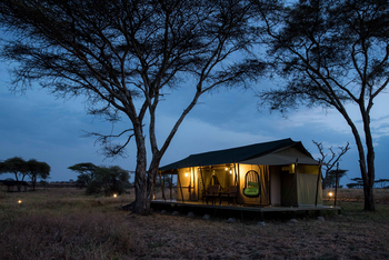 Ole Serai Camp Turner Springs: Gästezelt mit Beleuchtung
