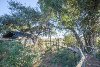 Rra Dinare Camp: Zugang zu einem Zelt