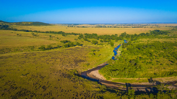 Sala's Camp: Tierwanderung