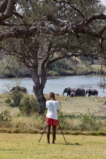Singita Castleton: Gast fotografiert Elefantenherde am Flussufer