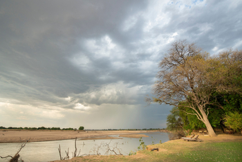 Tafika Camp: Liegestühle am Fluss
