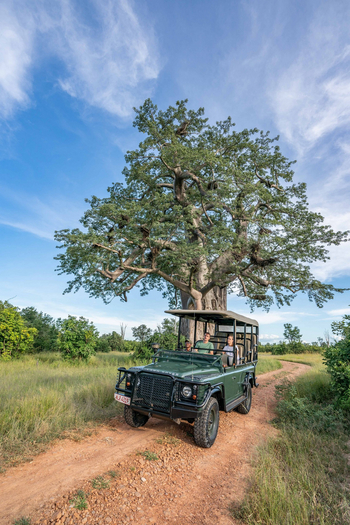 Time + Tide South Luangwa Time + Tide South Luangwa: Game Drives