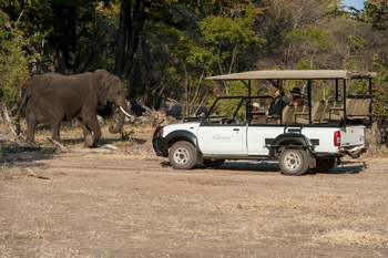 Toka Leya Camp Toka Leya Camp: Elefant vor Geländewagen