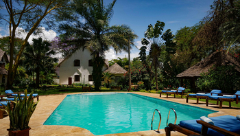 Arusha Safari Lodge: Tropischer Pool mit Holzliegen und Palmen