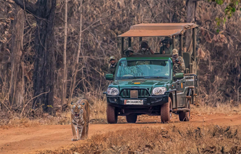Bamboo Forest Safari Lodge: Tigerpirsch