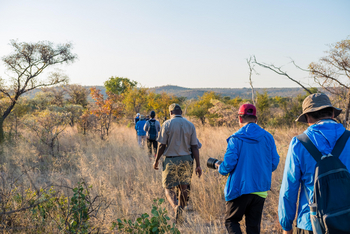 Big Cave Camp Big Cave Camp: Besuchergruppe