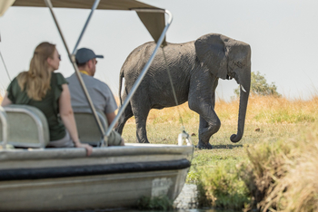 Chobe Savanna Lodge: Fluss-Safari