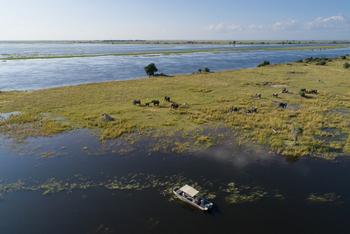 Chobe Savanna Lodge: Fluss-Safari