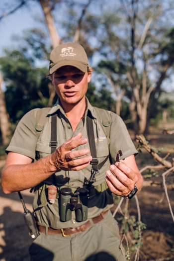 Classic Zambia Safaris Classic Zambia Safaris: Walking Safari