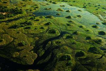 Duba Explorers Camp: Duba Plains aus der Vogelperspektive