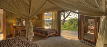 Flatdogs Camp: Crocodile Nest