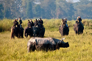 IORA The Retreat: Elefantensafari