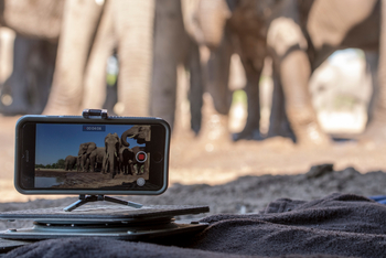 Mashatu Photographic Hide: Handykamera