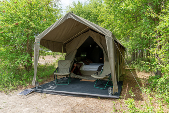 Migration Expeditions Camp Migration Expeditions Camp: Vordach