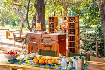 Painted Dogs Lagoon Camp: Bar