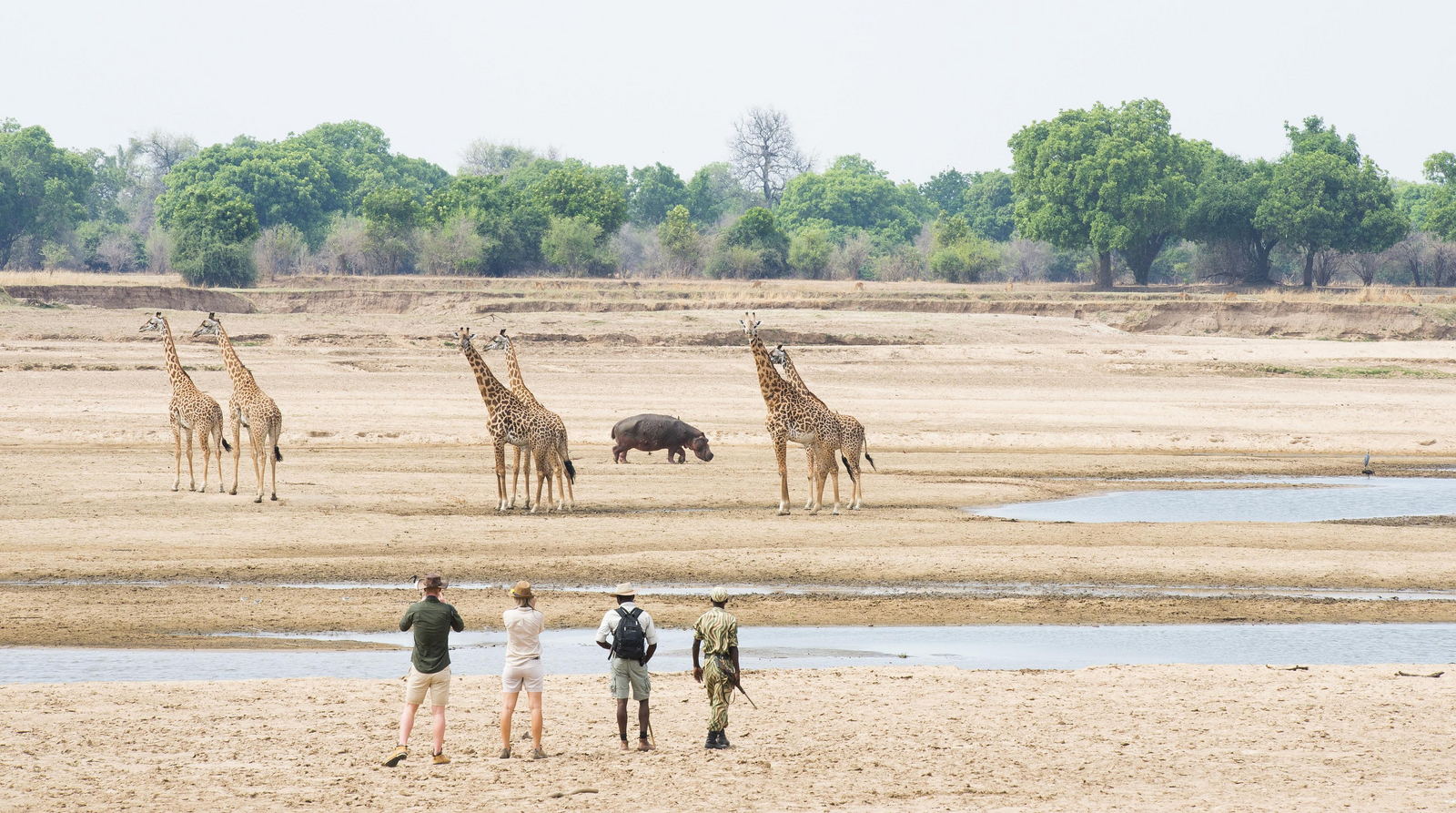 Shenton Safaris Shenton Safaris: Walking Safari